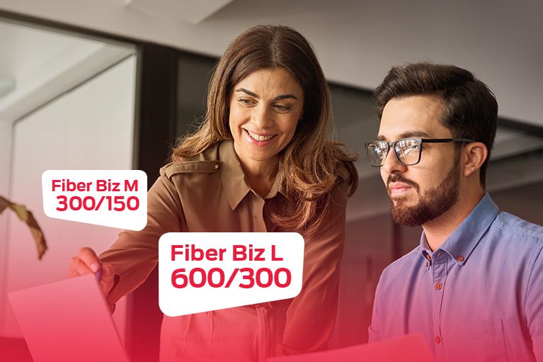 Fiber Biz BOX vest 767x511.jpg