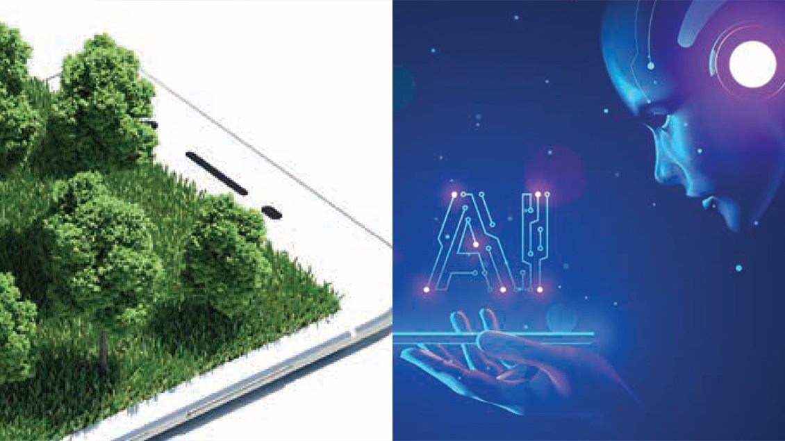 blog vest Sedef, šećer, ribarske mreže 1130x635 slika 2.jpg