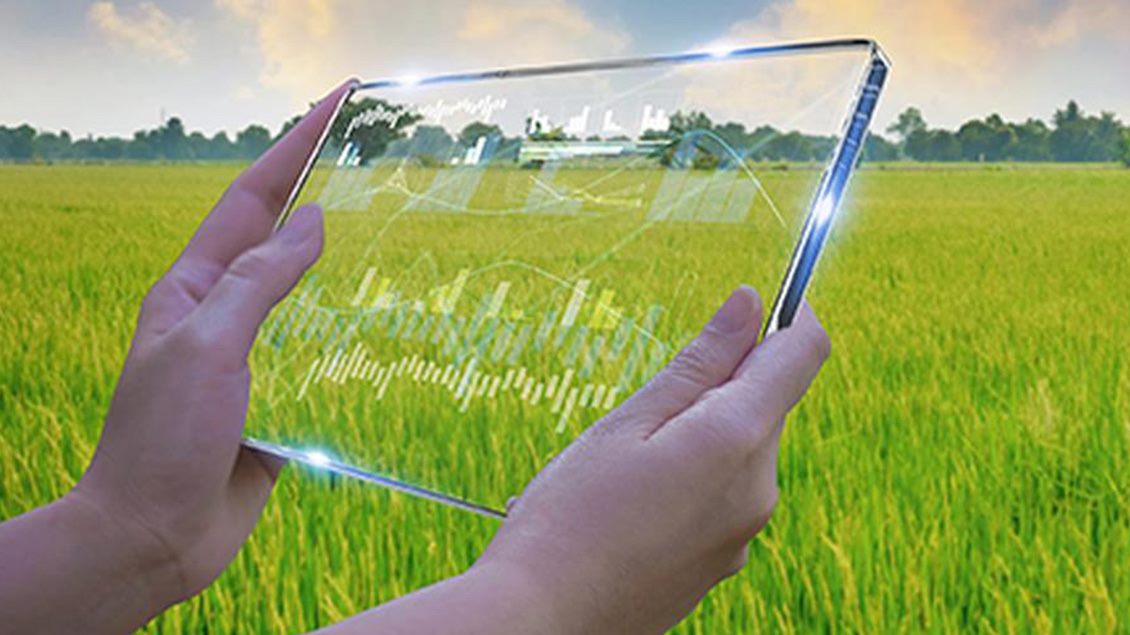 blog vest Agrolife 1130x635.jpg