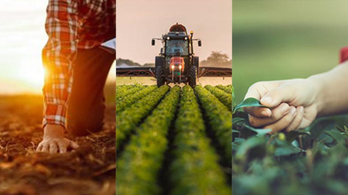 blog vest Agrolife 1130x635-1.jpg