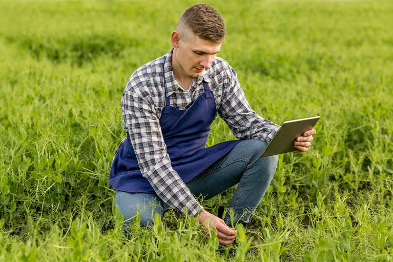 agrolife-vest-767x511.jpg