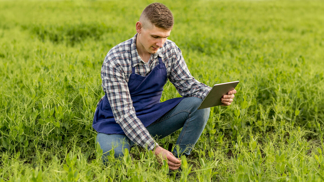 Poljoprivrednik koristi Agrolife digitalni servis na tabletu za upravljanje državnim poljoprivrednim zemljištem i praćenje useva na njivi.